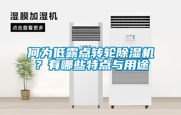 何為低露點轉(zhuǎn)輪除濕機？有哪些特點與用途