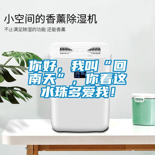 你好，我叫“回南天”，你看這水珠多愛我！