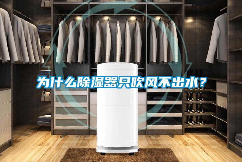為什么除濕器只吹風不出水？