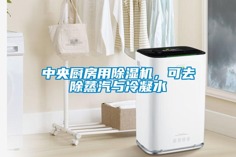 中央廚房用除濕機，可去除蒸汽與冷凝水