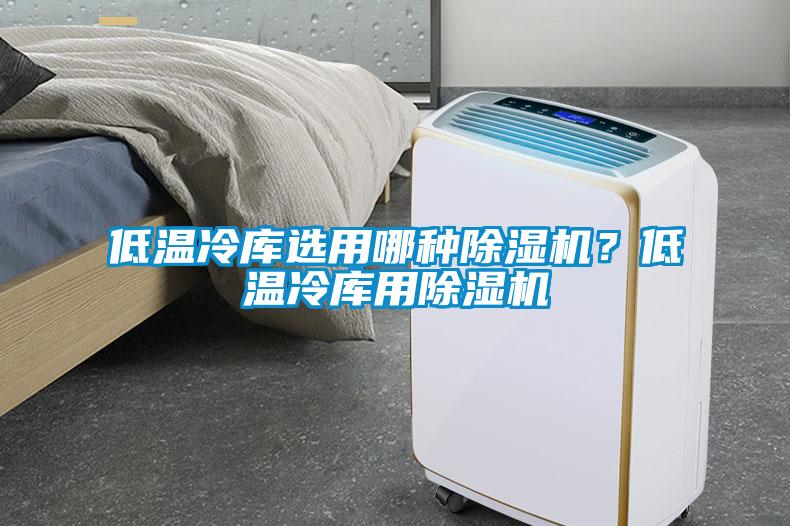 低溫冷庫選用哪種除濕機？低溫冷庫用除濕機