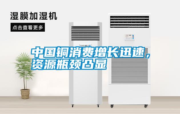 中國銅消費(fèi)增長迅速，資源瓶頸凸顯