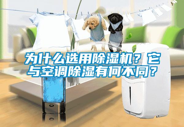為什么選用除濕機？它與空調(diào)除濕有何不同？
