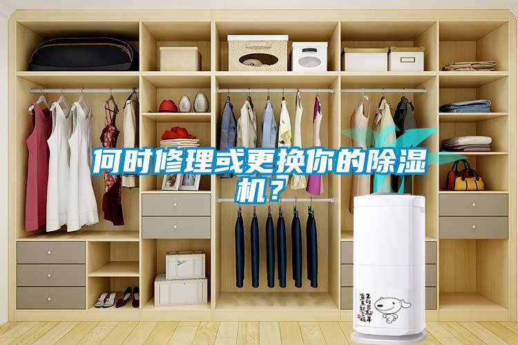 何時修理或更換你的除濕機？
