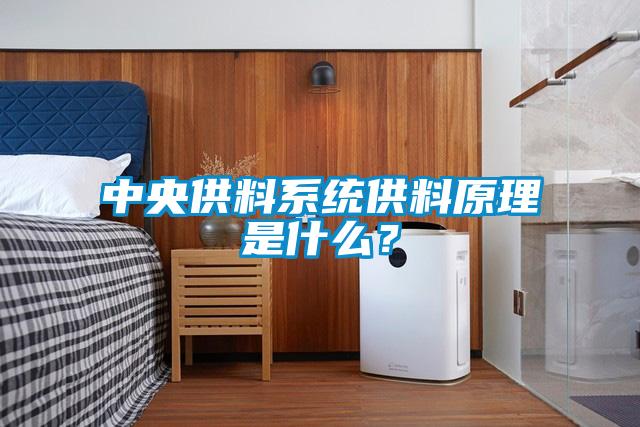 中央供料系統(tǒng)供料原理是什么？