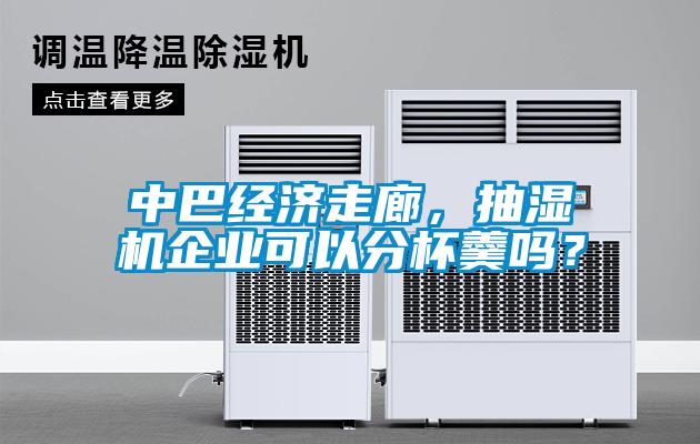 中巴經(jīng)濟(jì)走廊，抽濕機(jī)企業(yè)可以分杯羹嗎？