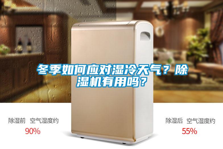 冬季如何應(yīng)對濕冷天氣？除濕機有用嗎？