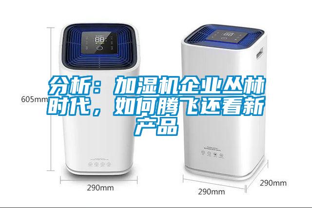 分析：加濕機(jī)企業(yè)叢林時代，如何騰飛還看新產(chǎn)品