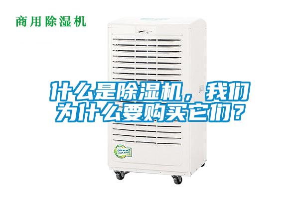 什么是除濕機(jī)，我們?yōu)槭裁匆?gòu)買(mǎi)它們？