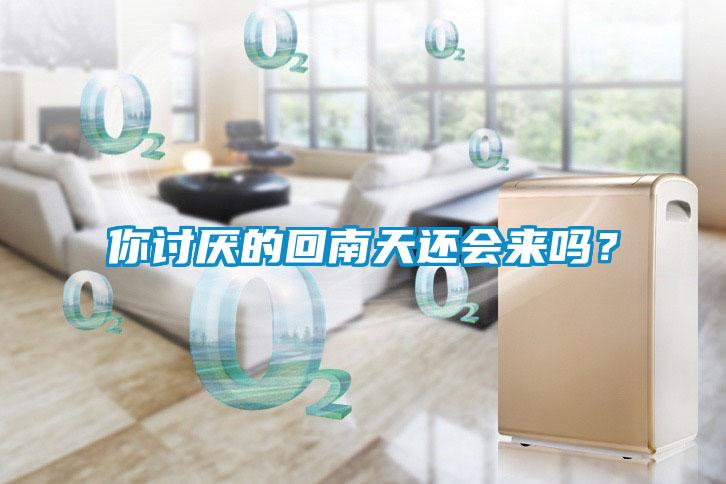 你討厭的回南天還會來嗎？