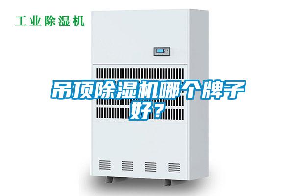 吊頂除濕機哪個牌子好？