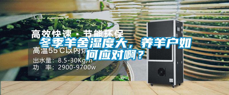 冬季羊舍濕度大，養(yǎng)羊戶如何應(yīng)對?。?/></p>
						    <p style=