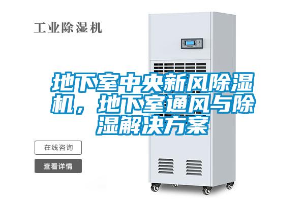 地下室中央新風除濕機，地下室通風與除濕解決方案