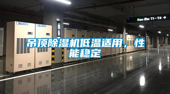 吊頂除濕機低溫適用，性能穩(wěn)定