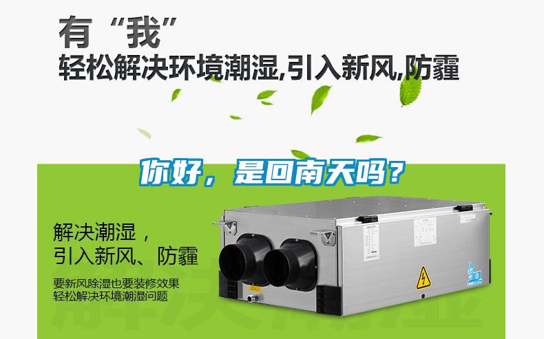 你好，是回南天嗎？
