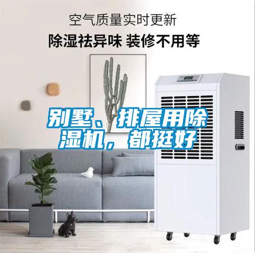 別墅、排屋用除濕機(jī)，都挺好