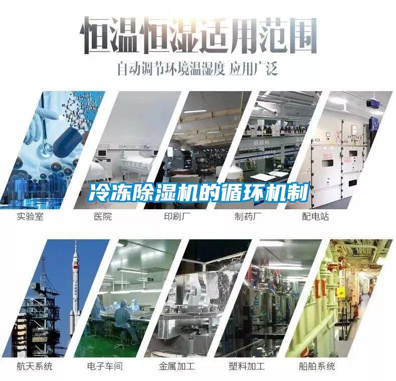 冷凍除濕機(jī)的循環(huán)機(jī)制