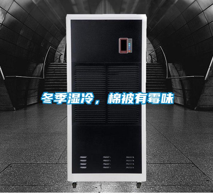 冬季濕冷，棉被有霉味