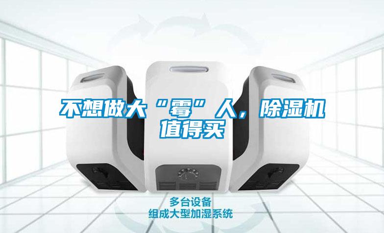 不想做大“霉”人，除濕機(jī)值得買(mǎi)