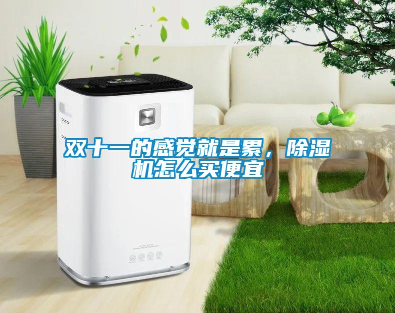 雙十一的感覺就是累，除濕機(jī)怎么買便宜
