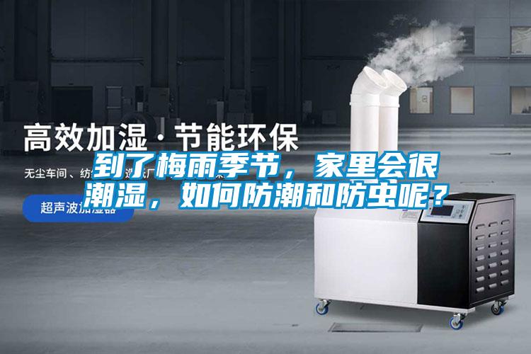 到了梅雨季節(jié)，家里會(huì)很潮濕，如何防潮和防蟲(chóng)呢？