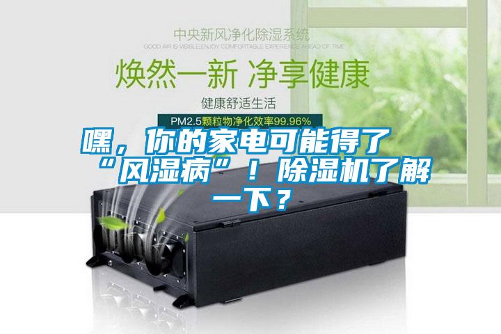 嘿，你的家電可能得了“風(fēng)濕病”！除濕機(jī)了解一下？
