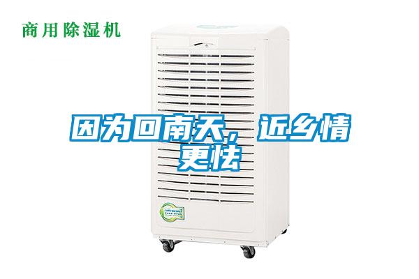 因為回南天，近鄉(xiāng)情更怯