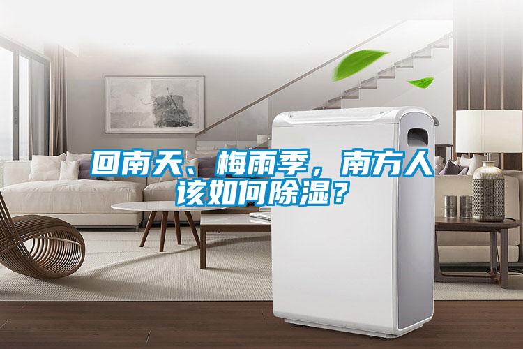 回南天、梅雨季，南方人該如何除濕？