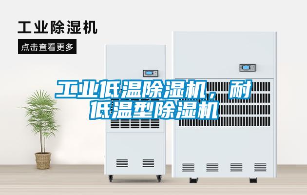 工業(yè)低溫除濕機，耐低溫型除濕機