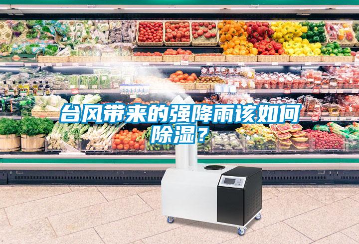 臺(tái)風(fēng)帶來(lái)的強(qiáng)降雨該如何除濕？