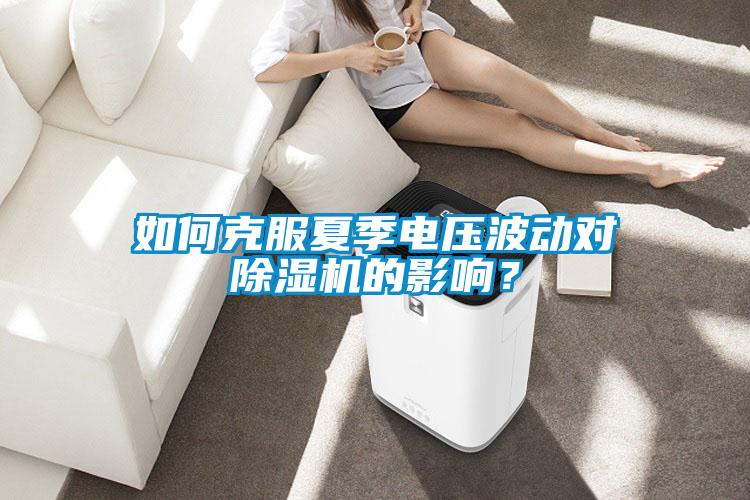 如何克服夏季電壓波動(dòng)對(duì)除濕機(jī)的影響?