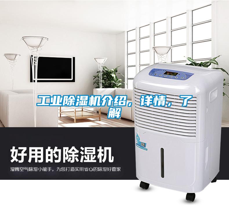 工業(yè)除濕機(jī)介紹，詳情，了解
