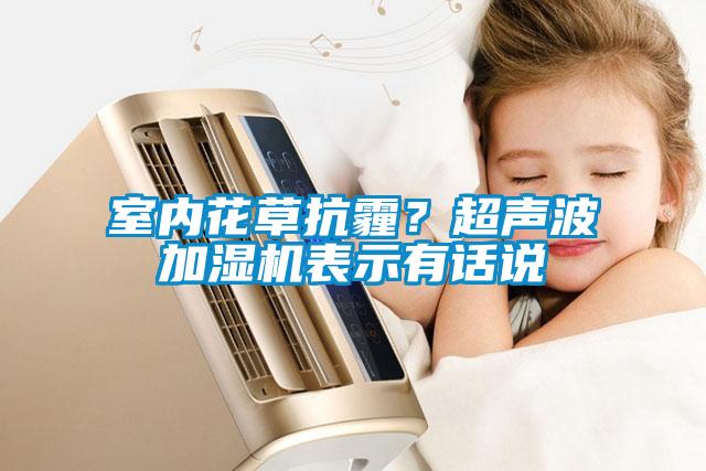 室內(nèi)花草抗霾？超聲波加濕機表示有話說