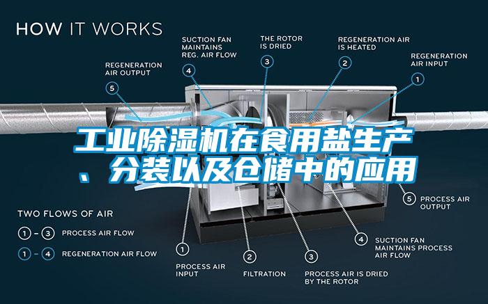 工業(yè)除濕機(jī)在食用鹽生產(chǎn)、分裝以及倉(cāng)儲(chǔ)中的應(yīng)用