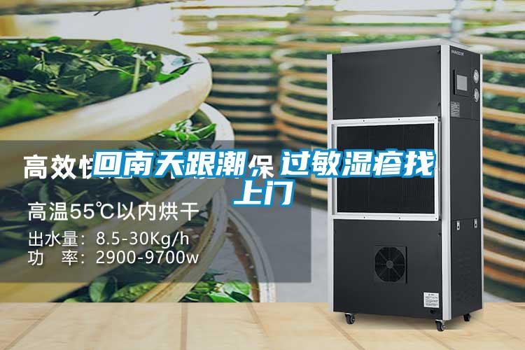 回南天跟潮，過(guò)敏濕疹找上門