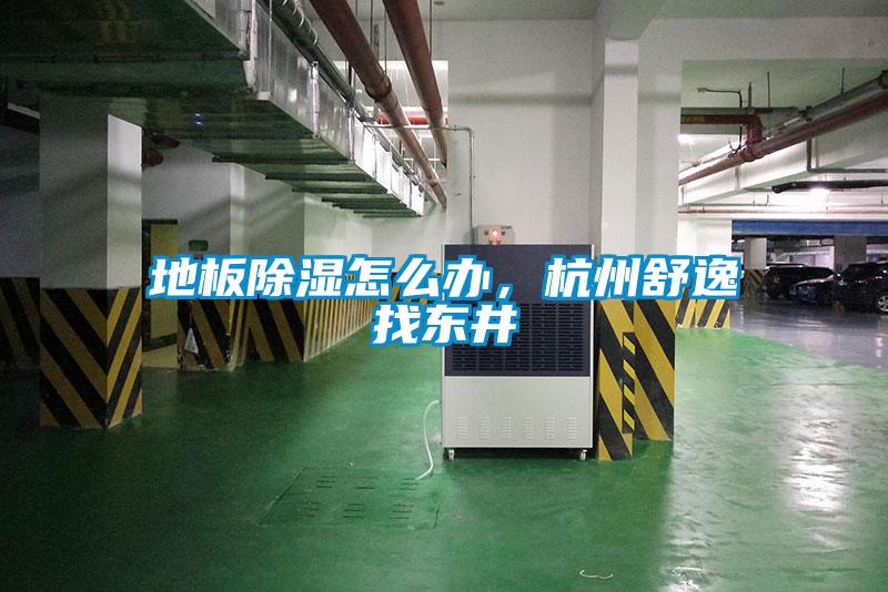 地板除濕怎么辦，杭州舒逸找東井