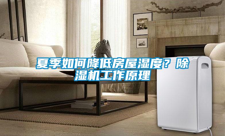 夏季如何降低房屋濕度？除濕機工作原理