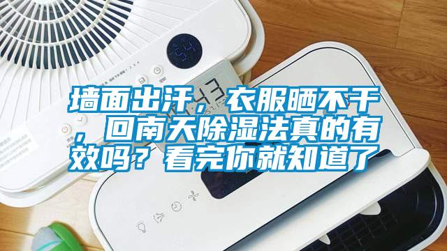 墻面出汗，衣服曬不干，回南天除濕法真的有效嗎？看完你就知道了