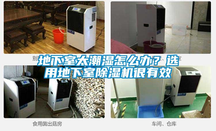 地下室太潮濕怎么辦？選用地下室除濕機(jī)很有效