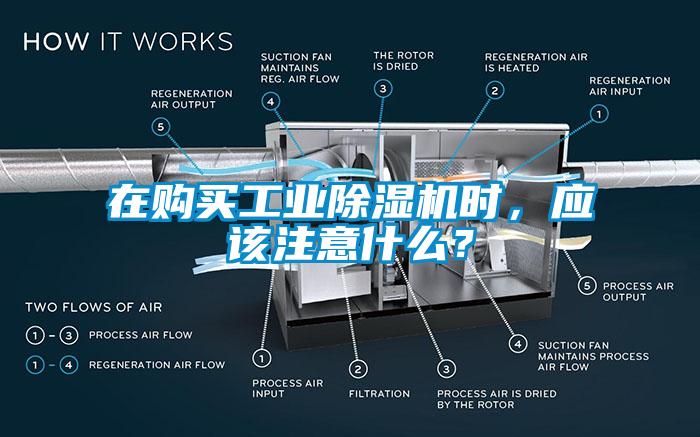 在購(gòu)買工業(yè)除濕機(jī)時(shí)，應(yīng)該注意什么？