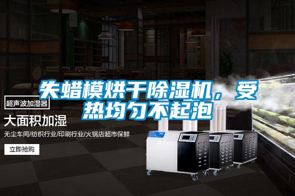 失蠟模烘干除濕機，受熱均勻不起泡