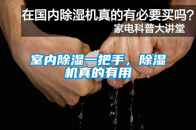 室內(nèi)除濕一把手，除濕機真的有用