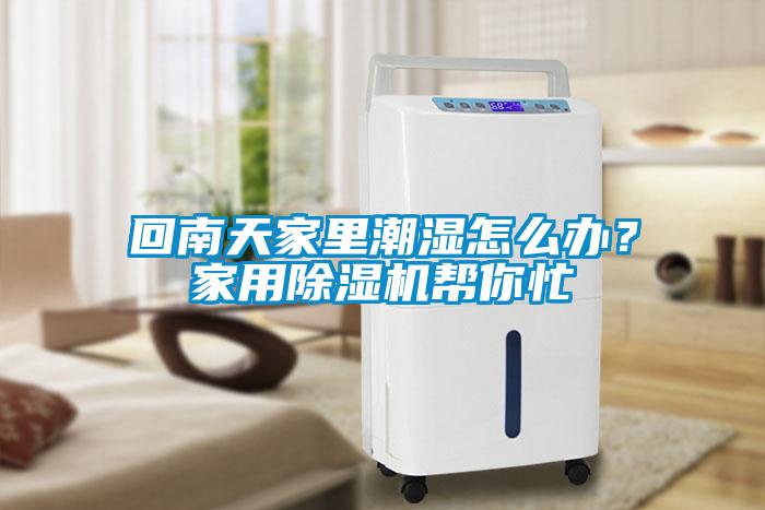 回南天家里潮濕怎么辦？家用除濕機(jī)幫你忙