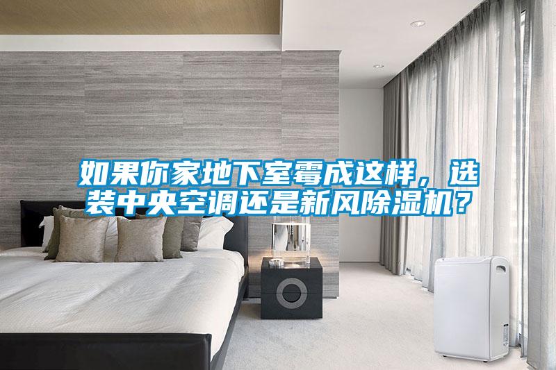 如果你家地下室霉成這樣，選裝中央空調(diào)還是新風(fēng)除濕機(jī)？