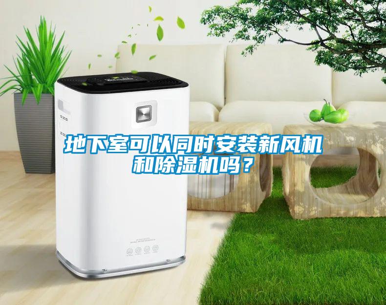 地下室可以同時安裝新風機和除濕機嗎？