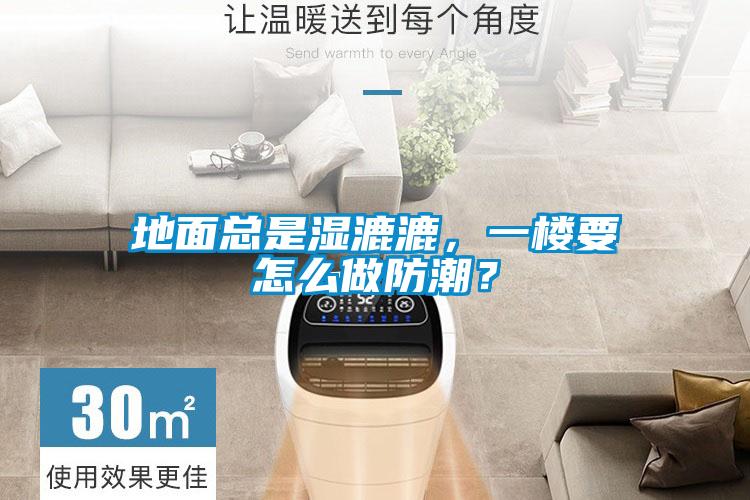 地面總是濕漉漉，一樓要怎么做防潮？