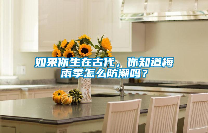 如果你生在古代，你知道梅雨季怎么防潮嗎？