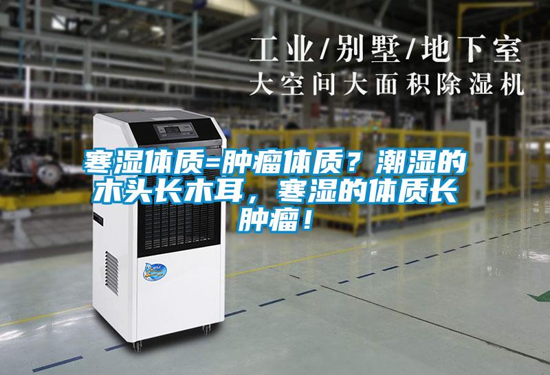 寒濕體質(zhì)=腫瘤體質(zhì)？潮濕的木頭長木耳，寒濕的體質(zhì)長腫瘤！