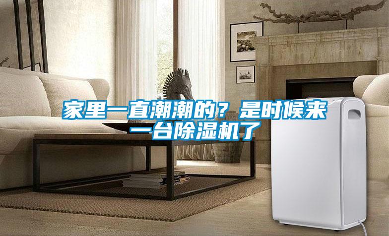 家里一直潮潮的？是時候來一臺除濕機了