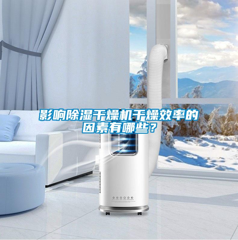影響除濕干燥機(jī)干燥效率的因素有哪些？